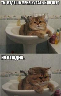 Кто-то работает, а кто-то отдыхает!