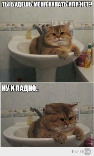 Кто-то работает, а кто-то отдыхает!