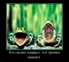 31 улыбка от зверушек, которые сделали нас счастливее в 2014 году