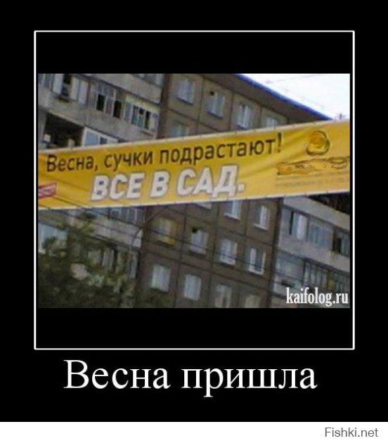 Смешные надписи и объявления