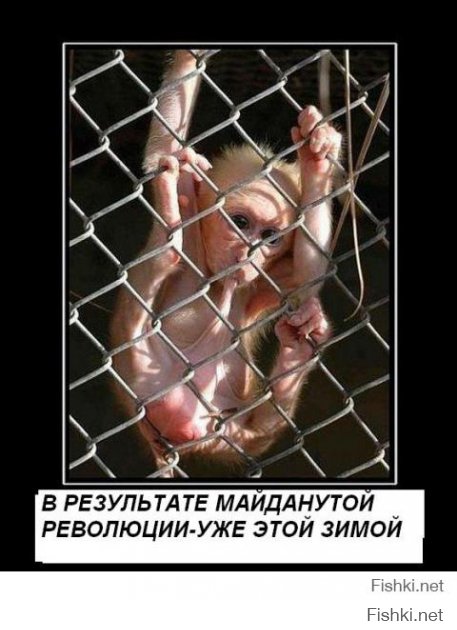 Фотожабы на Яценюка