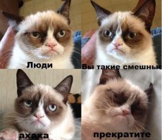 Котомем, кто таков