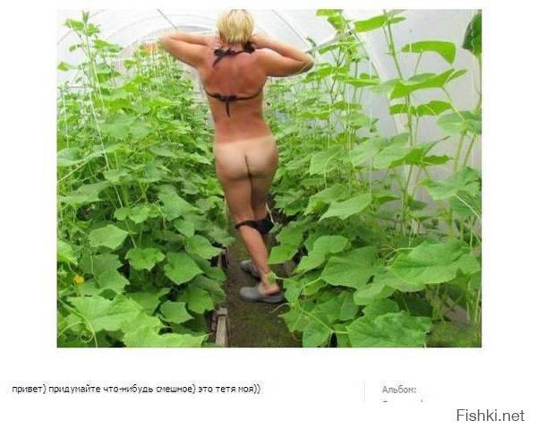 Прикольные фотожабы