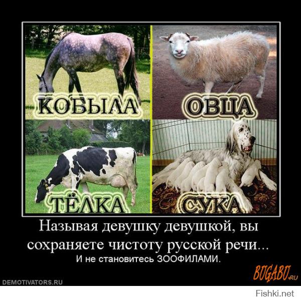 Фишкина солянка за 18.08.2014