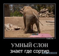Захожу я сегодня к начальнику....