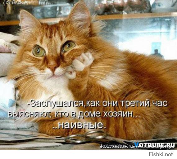 Животные, которые не сомневаются в своей крутости