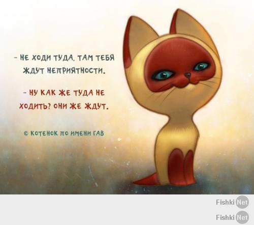 Обязанности кота по дому