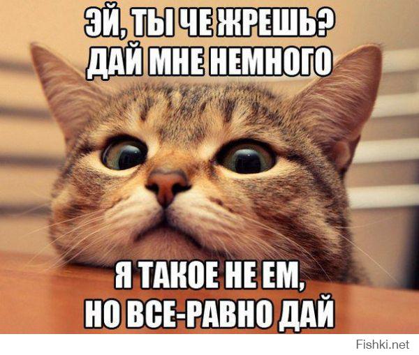 Картинки со смешными подписями