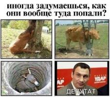 Тонкий юмор для умных людей.