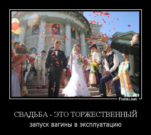 Фишкина солянка за 18.08.2014