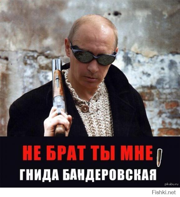 Альтернативные обложки для книг