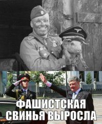 Секта свидетелей Эвромайдауна