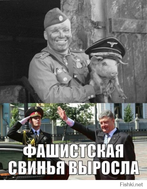 Секта свидетелей Эвромайдауна