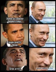 На манеже всё те же - подборка картинок