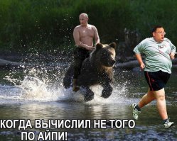 На манеже всё те же - подборка картинок