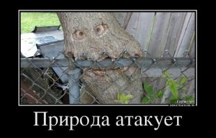 Смешные картинки вместе с надписями