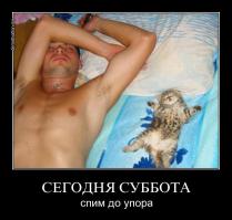 Фишкина солянка за 19.09.2014