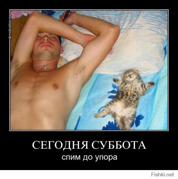 Фишкина солянка за 19.09.2014