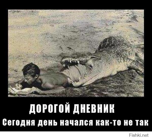 6c83c831cf1152c0d6aca1a317341e36.jpg