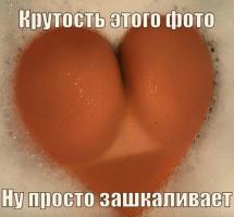 Картинки со смешными подписями