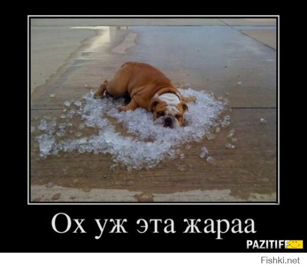 Это лето было жарким