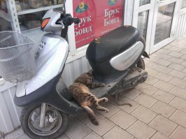 у нас на рынке...