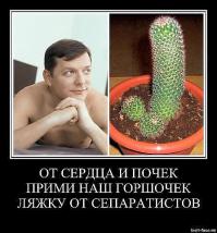 Приколы