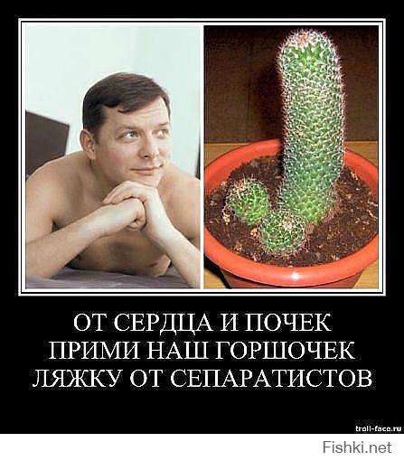 Приколы