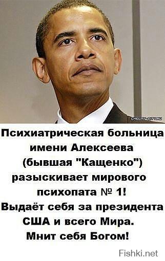 Приколы