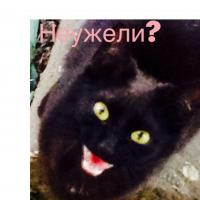 Дурацкие запросы в поисковиках