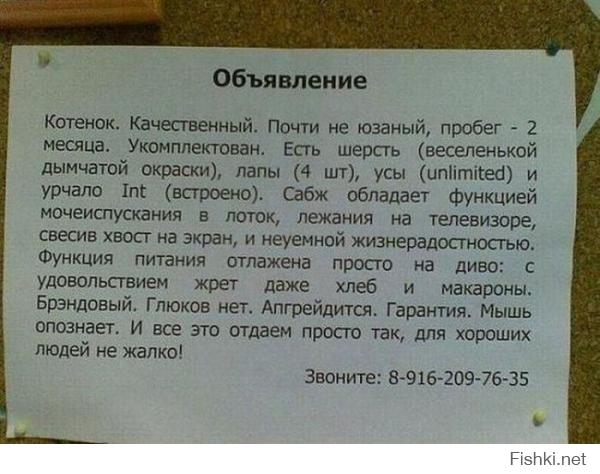 Смешные надписи и объявления