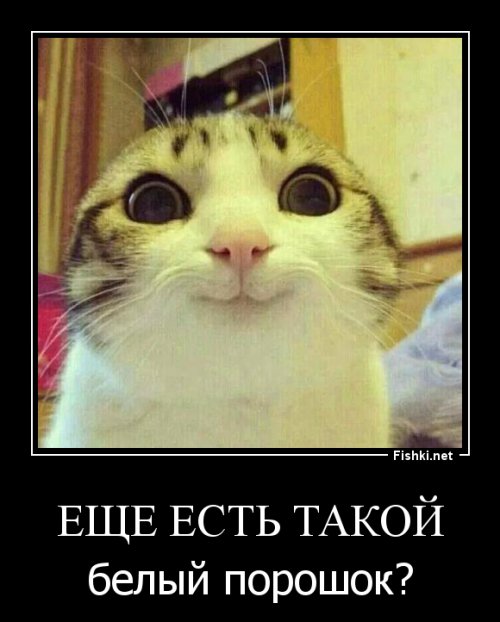 Арсений жонглирует газом