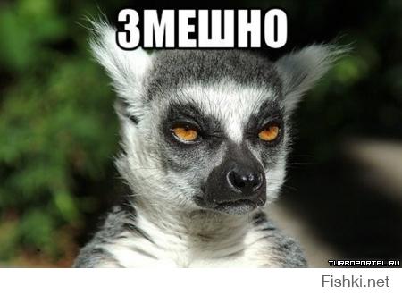 Целеустремленный взгляд