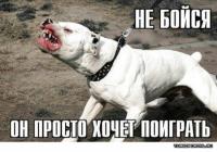 Картинки со смешными подписями