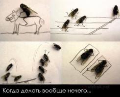 Когда в офисе становится скучно!))