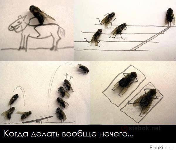Когда в офисе становится скучно!))