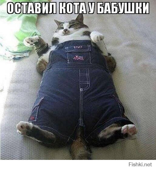 Игрушка, игрушка! Нас и без неё не плохо бабушка кормит!