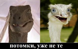20 животных, которых тоже чертовски удивляет этот мир