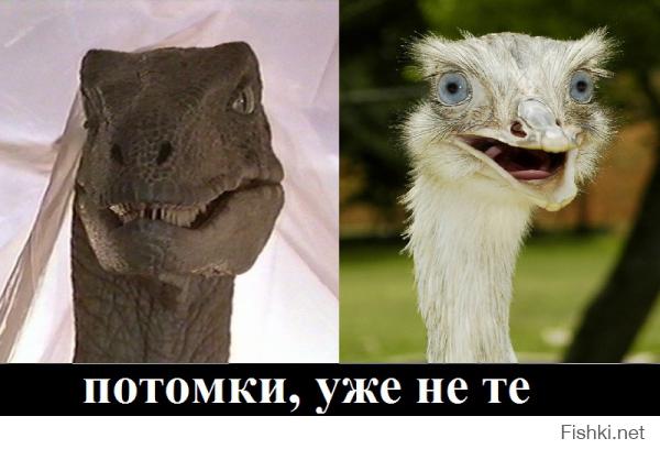 20 животных, которых тоже чертовски удивляет этот мир