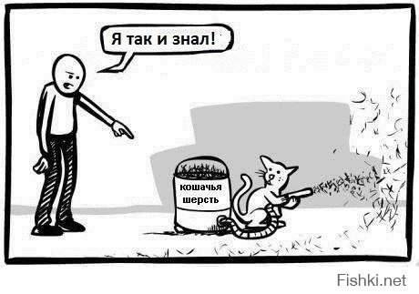 Кошачий пост