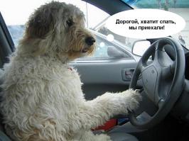 Устал...