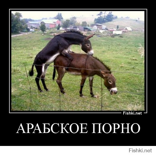 Я теперь буду смотреть только арабское ТВ