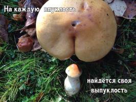 Смешные картинки