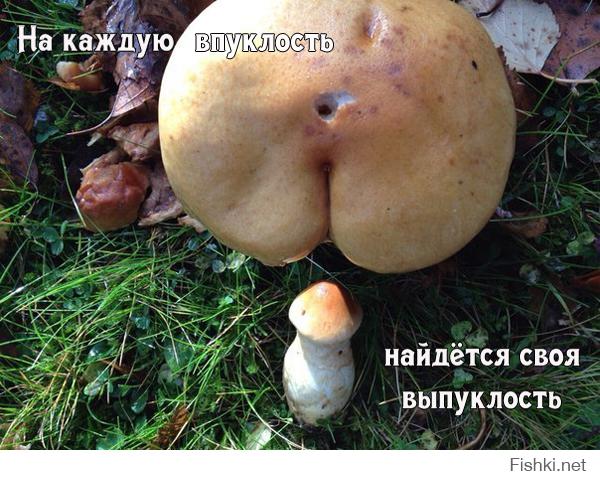 Смешные картинки
