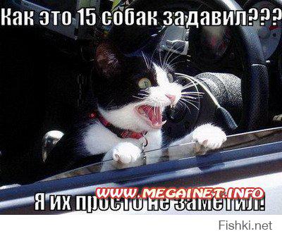 Картинки со смешными подписями