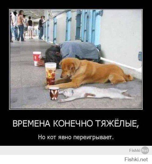 Жизнь не удалась ИЛИ НАОБОРОТ