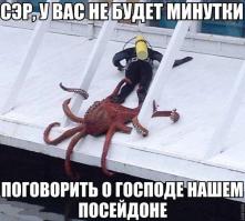 Картинки со смешными подписями