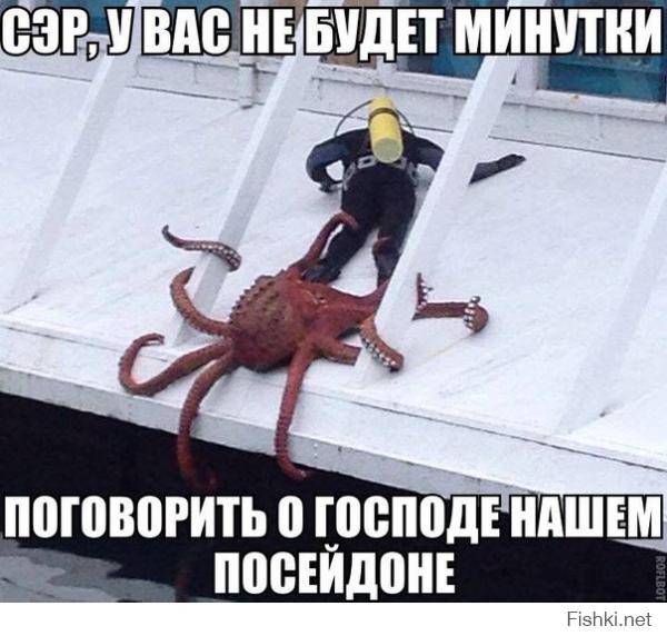 Картинки со смешными подписями