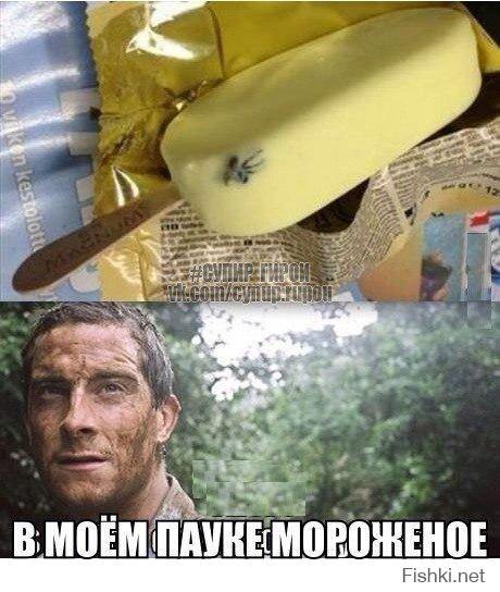 Картинки со смешными подписями