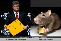 Животные похожие на людей